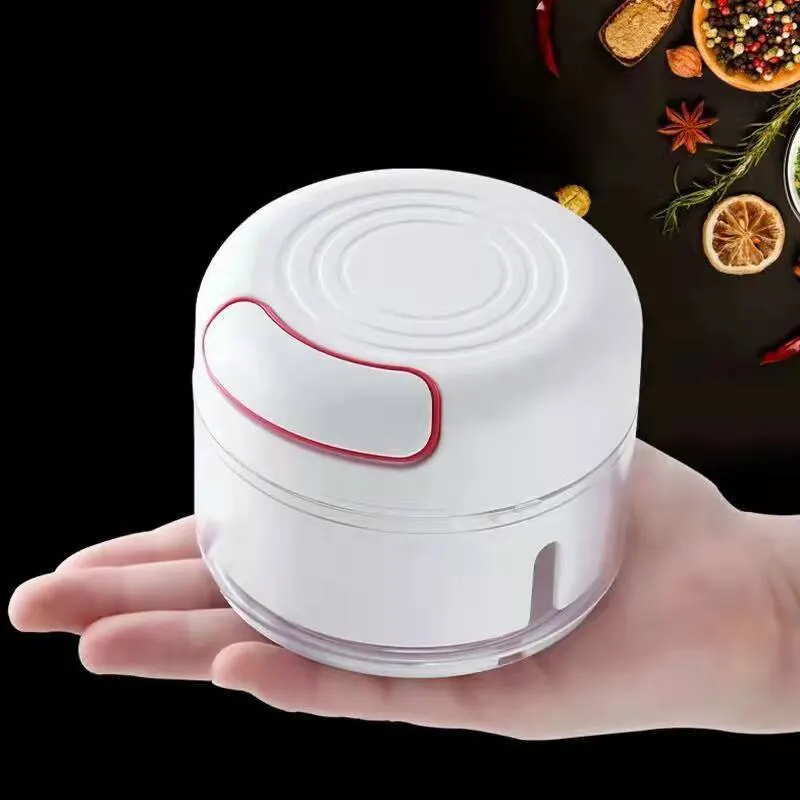 Kitchen Gadgets Garlic - Triturador de alho de plástico imprensa